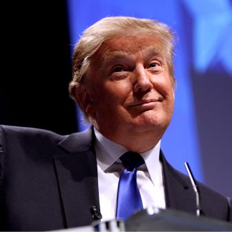 GOP Primary Poll: Trump 20, Walker 13, Bush 10