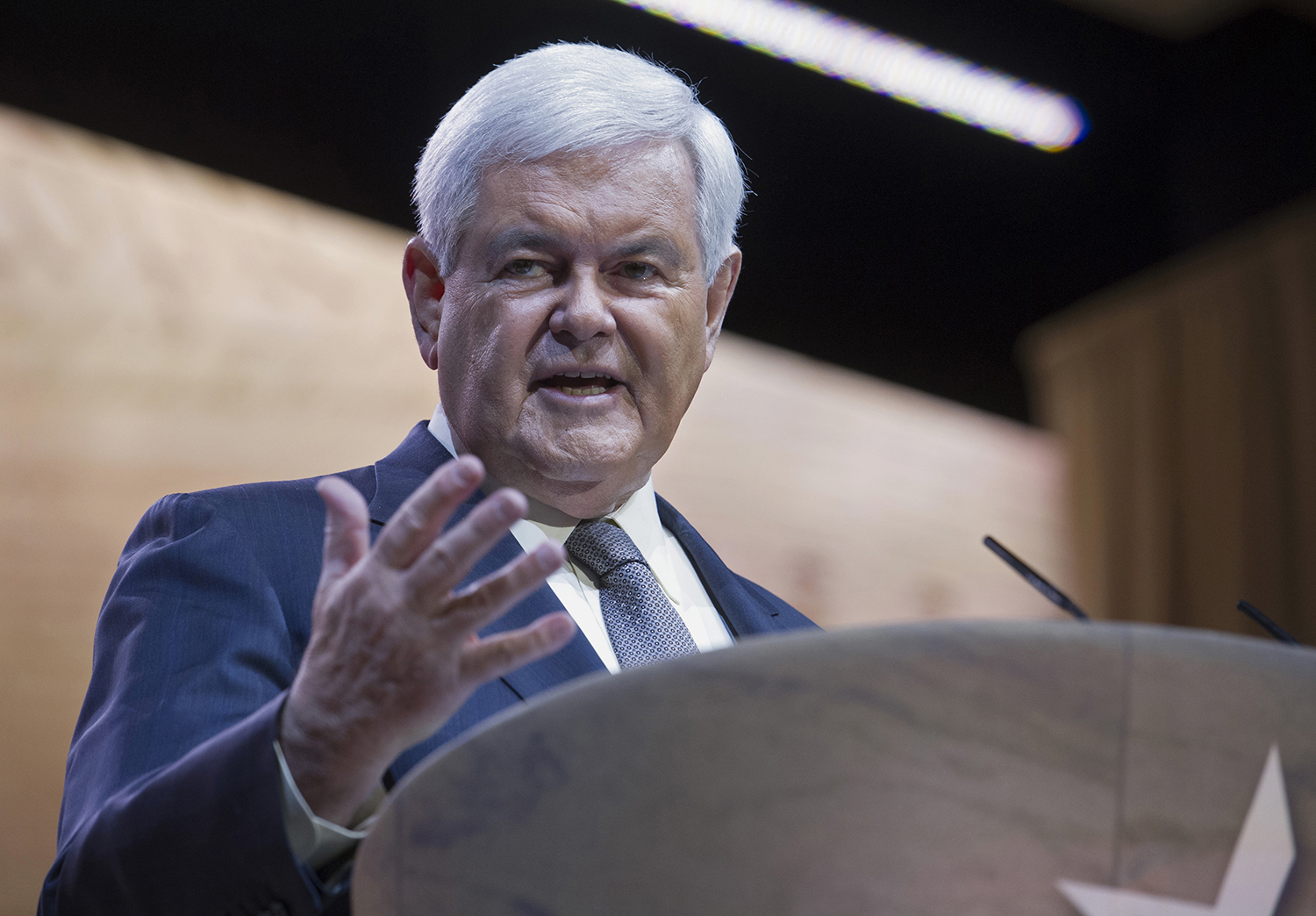 Gingrich blasts NYT, Washington Post for ‘all-out war’ against Trump