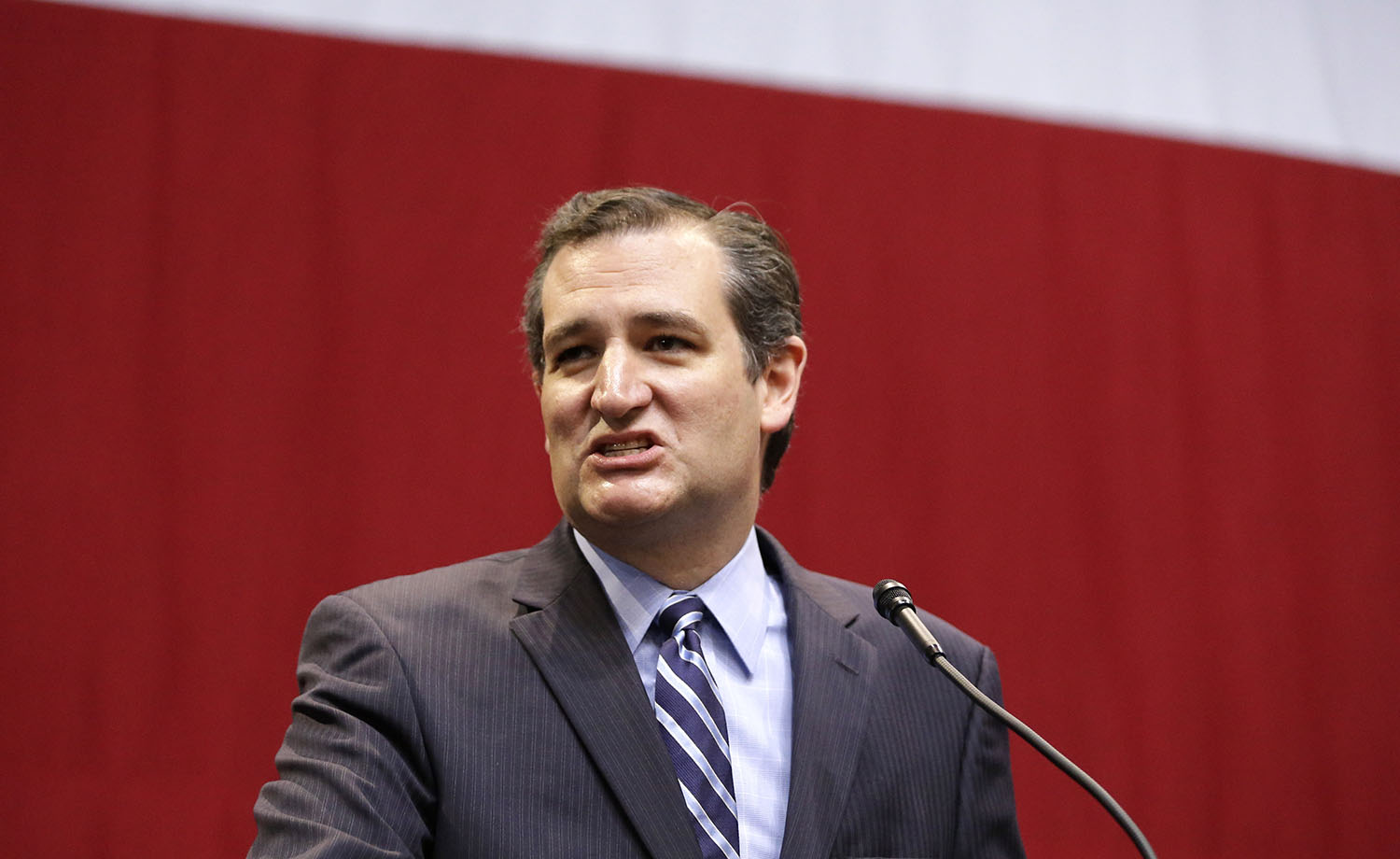 Cruz stands by controversial proposal to target Muslims