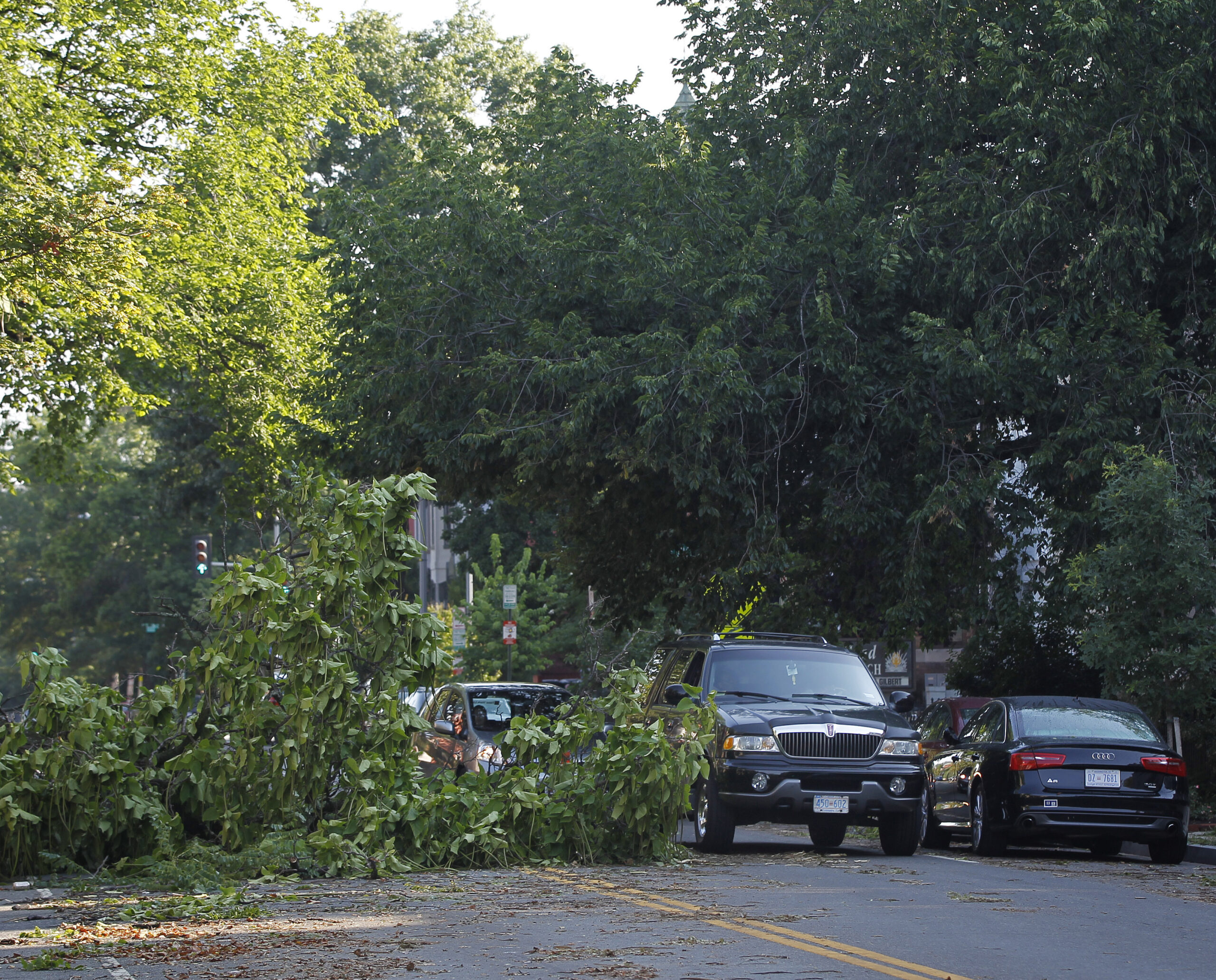 5 in D.C. region dead after storm, power outages widespread