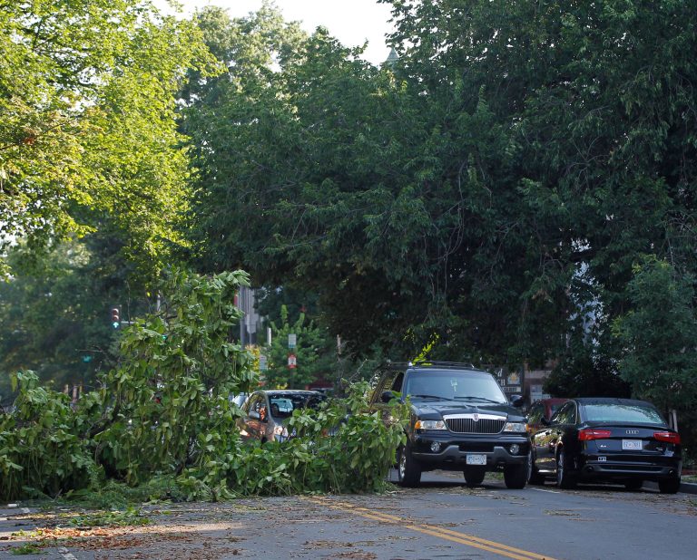 A fallen tree blocks  traffic after Friday's storm. (AP Photo/Pablo Martinez Monsivais)