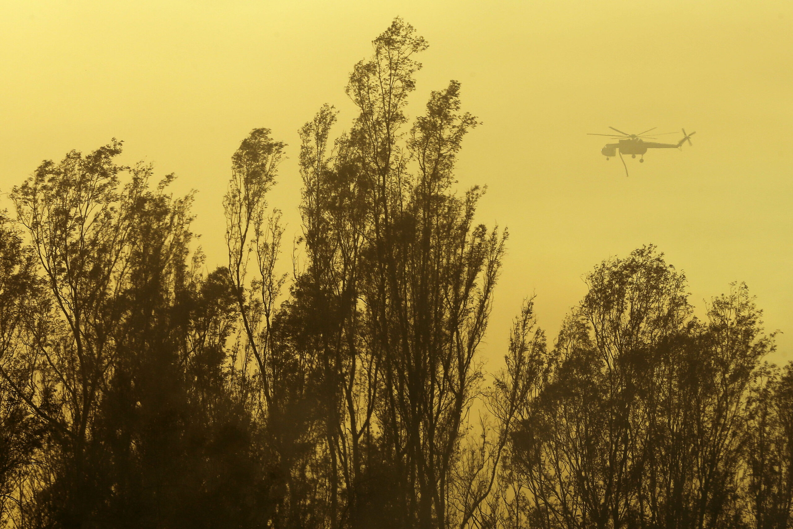 Studies: Wildfires worse due to global warming