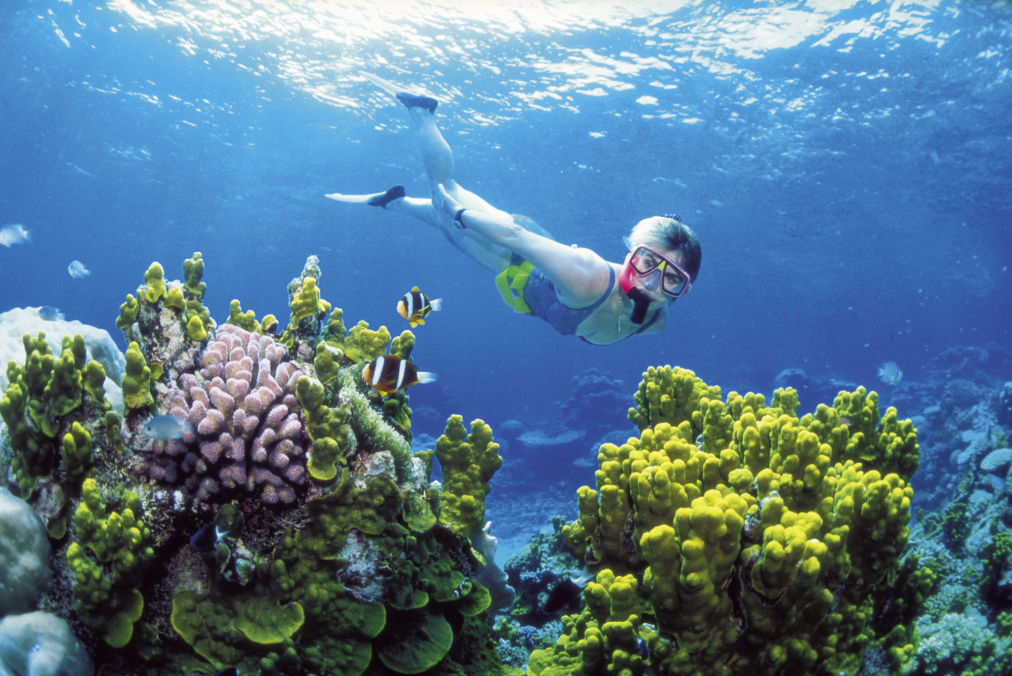 Australia creates largest area of marine reserves