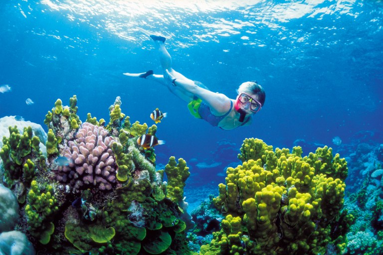   This November, 2002 photo provided by Queensland Tourism, a diver snorkels in the Great Barrier Reef off Australia's Queensland state. Australia announced Thursday, June 14, 2012, the creation of the world's largest network of marine reserves covering 3.1 million square kilometers (1.2 million square miles) of ocean including the entire Coral Sea. Environment Minister Tony Burke said the government expects to pay an estimated 100 million Australian dollars ($100 million) to the fishing industry in compensation for the new restrictions on their operations that will take effect late this year. (AP Photo/Queensland Tourism) EDITORIAL USE ONLY  