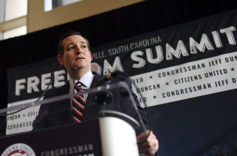 Republican presidential candidate Sen. Ted Cruz, R-Texas, speaks at the Freedom Summit, Saturday, May 9, 2015, in Greenville, S.C. (AP Photo)