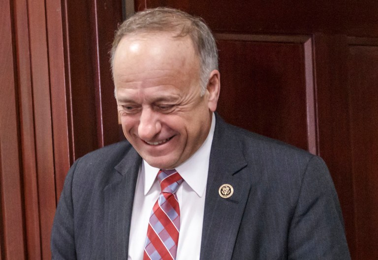 Rep. Steve King, R-Iowa, said he doesn't think white people will ever become a majority-minority ethnicity in the United States. (AP Photo/J. Scott Applewhite)