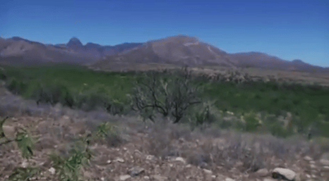 VIDEO: Here’s how one group told Congress to stop the border crisis