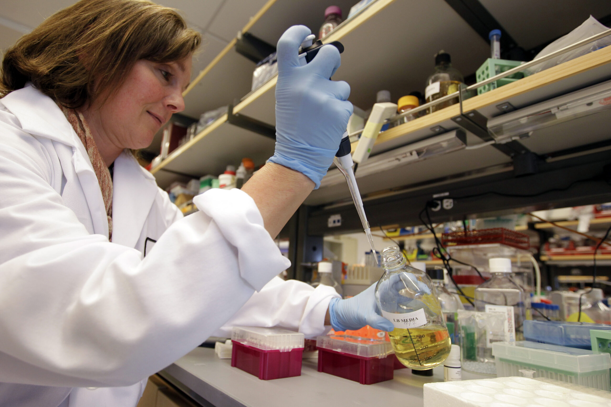 Report: Calif. stem cell agency needs overhaul
