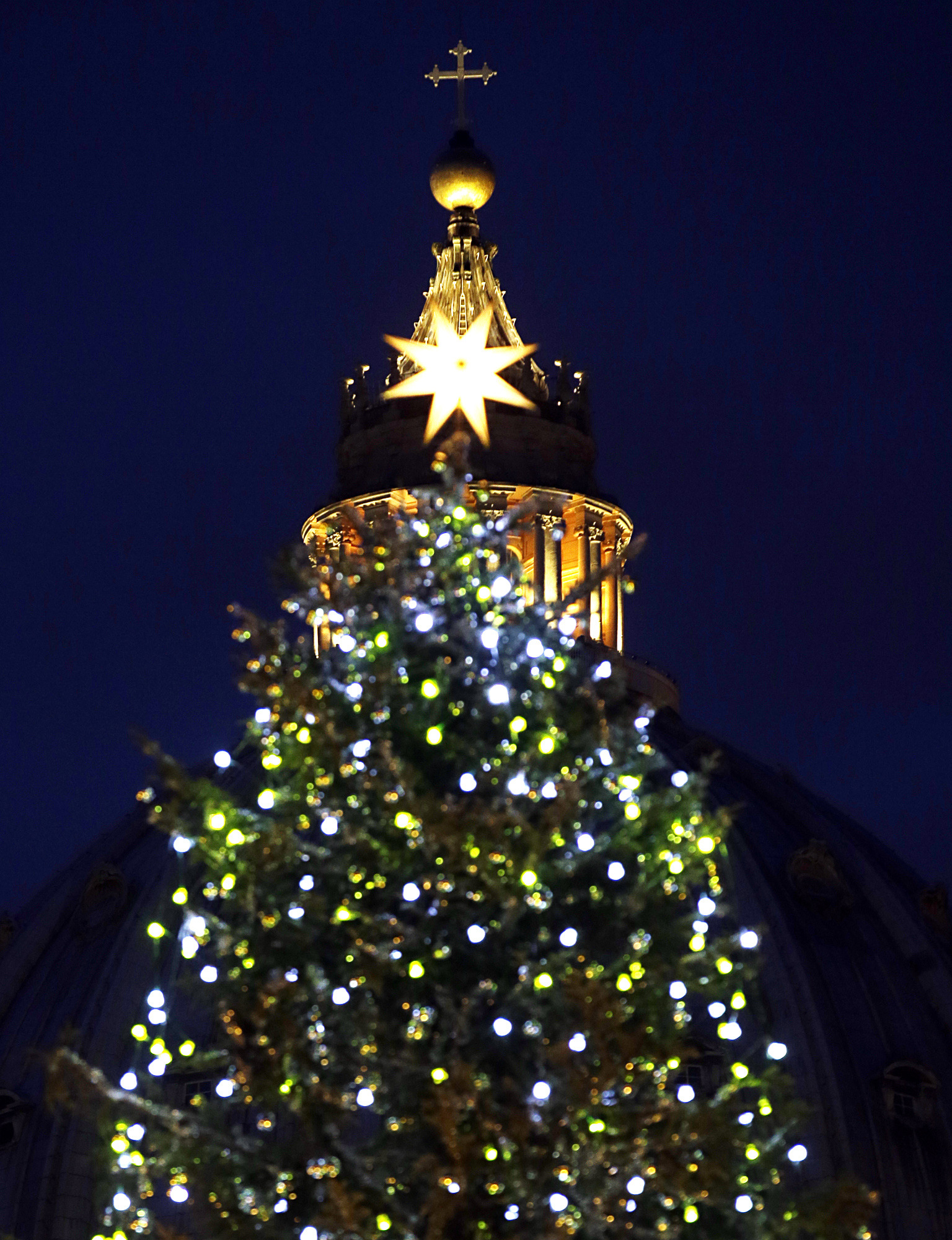 Christmas comes to Vatican with tree lighting