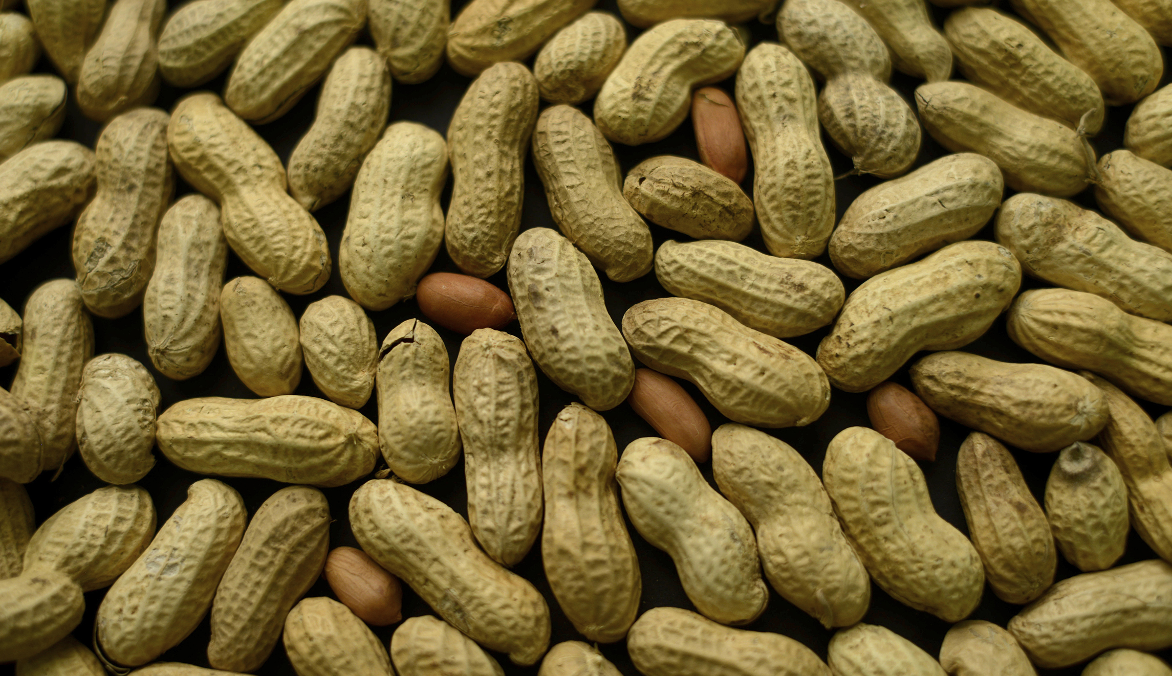 House passes ‘peanut parity’ for South Carolina
