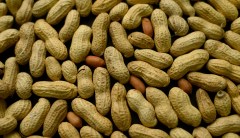 Student peanut prank on allergic teammate not deemed as ‘bullying’: School district