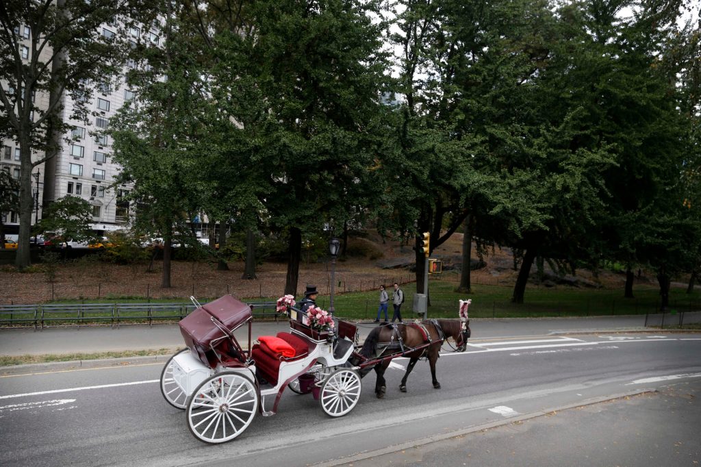 NYC carriage driver accused in horse switch