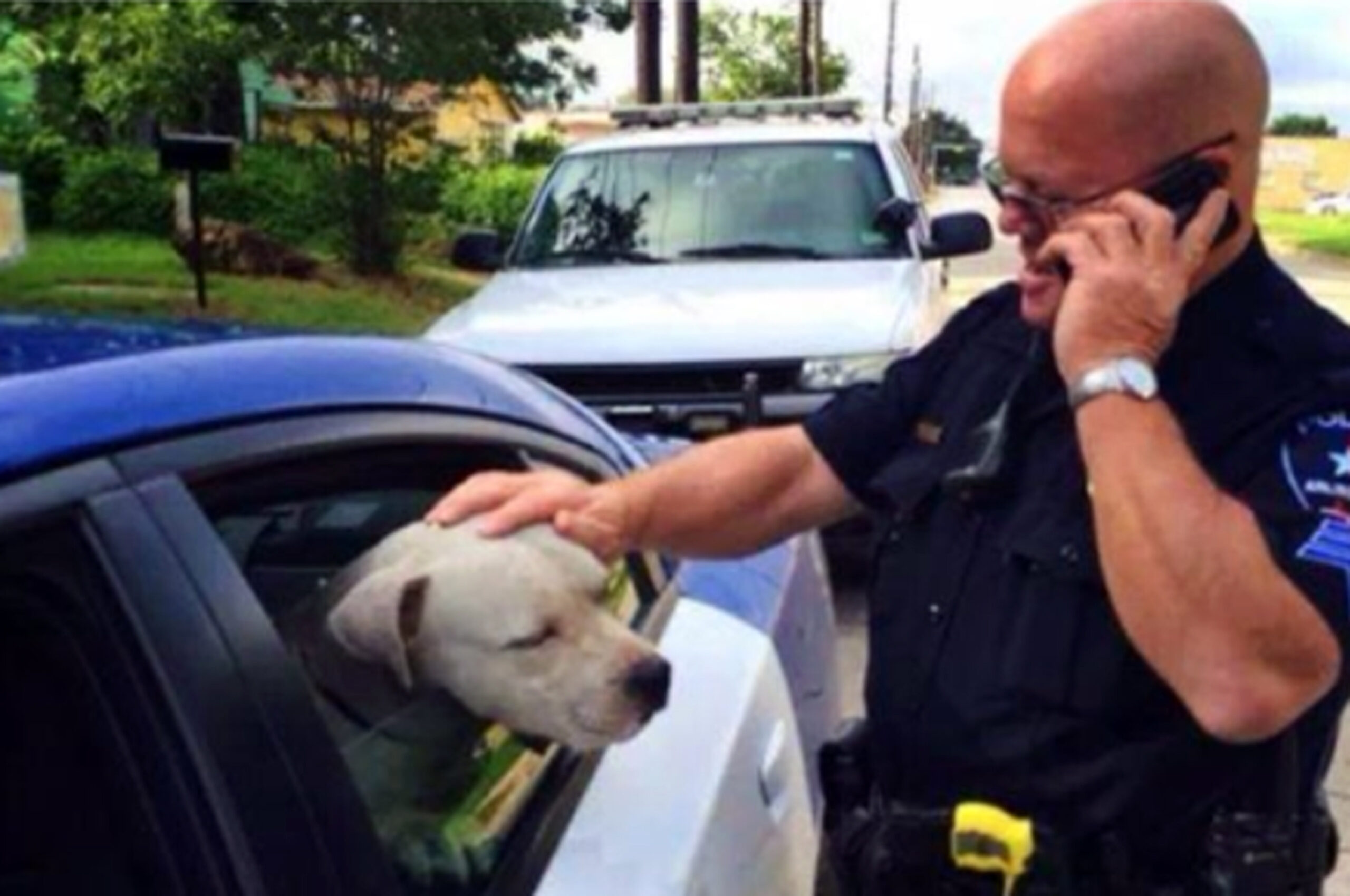 North Texas officer adopts pit bull he spared