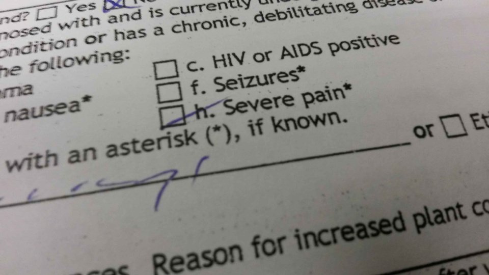 No approved ‘medicine’ in marijuana