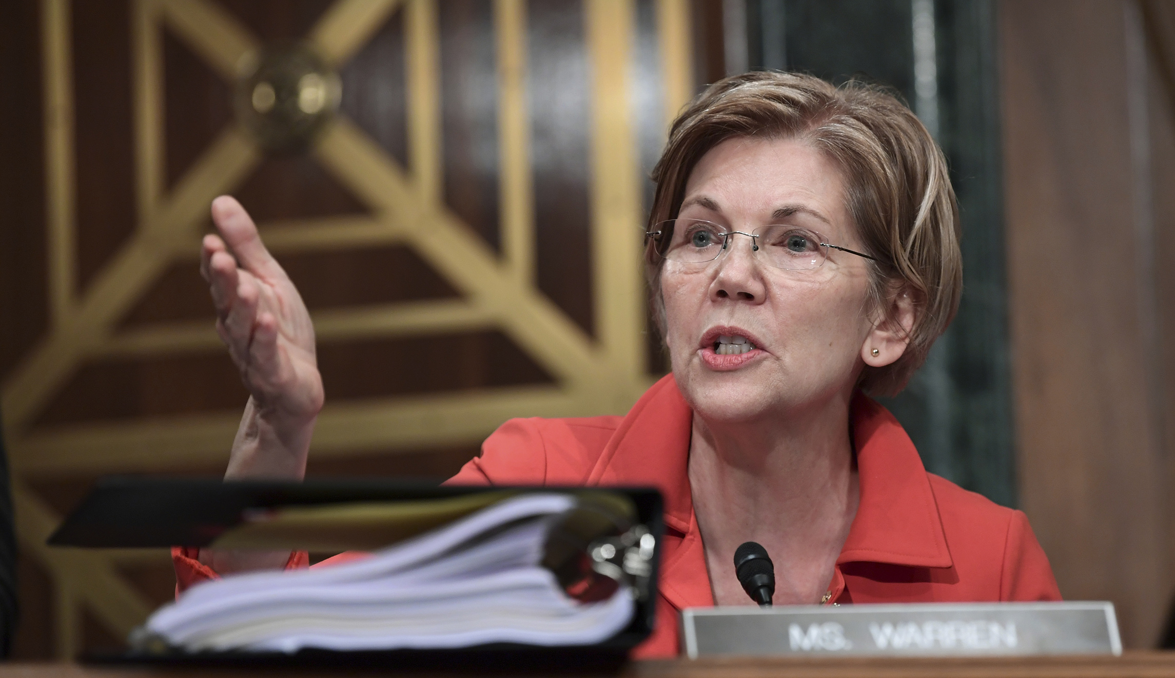 Elizabeth Warren: Leaderless Democrats taking orders from ‘the grassroots’