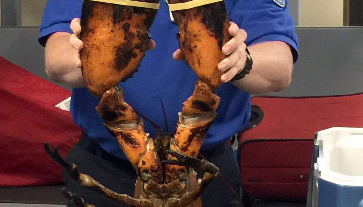 Georgia man angry his giant lobster was taken out of its package by TSA