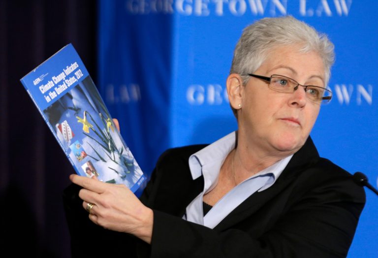 Gina McCarthy is President Obama's nomination to head the Environmental Protection Agency. (AP/Alex Brandon)