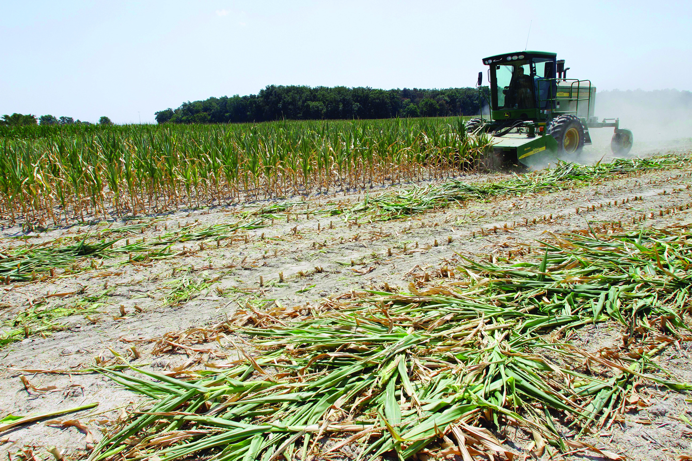 Area farmers stand to profit from drought