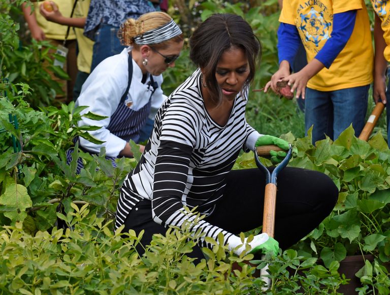 First lady Michelle Obama is joined by school children as they harvest peanuts in the annual fall harvest of the White House Kitchen Garden at the White House in Washington, Tuesday, Oct. 14, 2014. In celebration of Farm to School Month, Obama invited students from Arizona, California, and Ohio to participate in the fall harvest. These schools were selected because they are participating in farm to school programs that incorporate fresh, local food into their school meals, and they teach students about healthy eating through school gardens and nutrition education.(AP Photo/Susan Walsh)