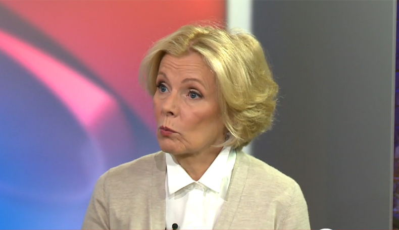 Peggy Noonan: Democratic Party ‘blowing itself up’