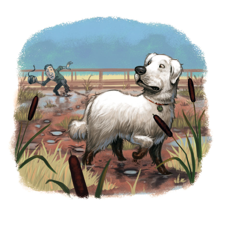 After Moses, Solomon