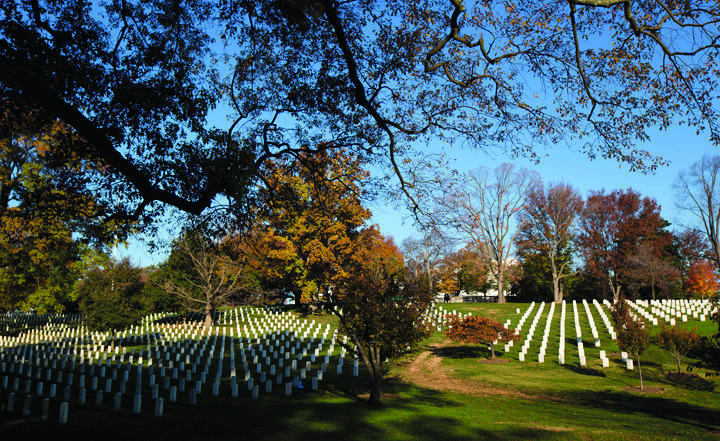 Arlington cemetery expansion threatens 890 trees
