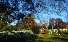 Arlington cemetery expansion threatens 890 trees