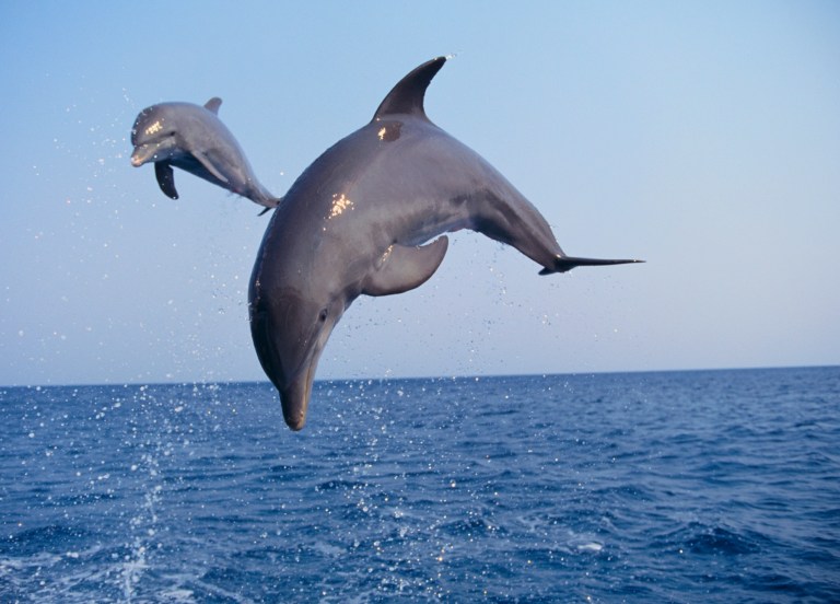 The National Oceanic and Atmospheric Administration warns that, 