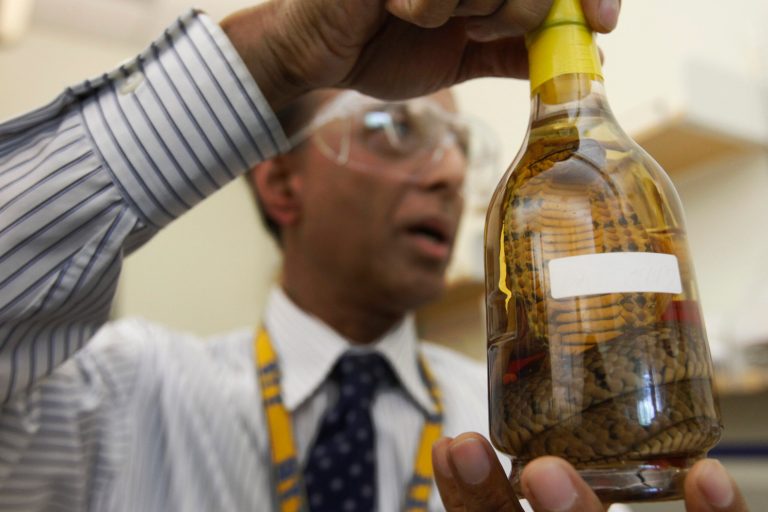   In this Thursday, April 19, 2012 photo, Dr. Abdul Mabud, director of the scientific services division of the U.S. Department of Treasury's Alcohol and Tobacco Tax and Trade Bureau, holds up a bottle of snake liquor from east Asia at a laboratory, in Beltsville, Md. The Alcohol and Tobacco Tax and Trade Bureau, which collects taxes on booze and smokes and tells the companies that produce them how to do business, is one example of the specialized government offices threatened by Washingtonâs current zeal for cost-cutting. (AP Photo/Charles Dharapak)  