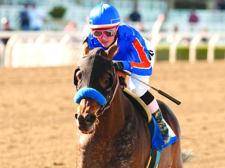 Benoit Photo via AP
Game On Dude has won four of his five races on California tracks, making him the favorite for Saturday's Breeders' Cup Classic.