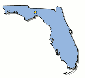 Early-state GOP chairmen: Florida is ‘rogue state’