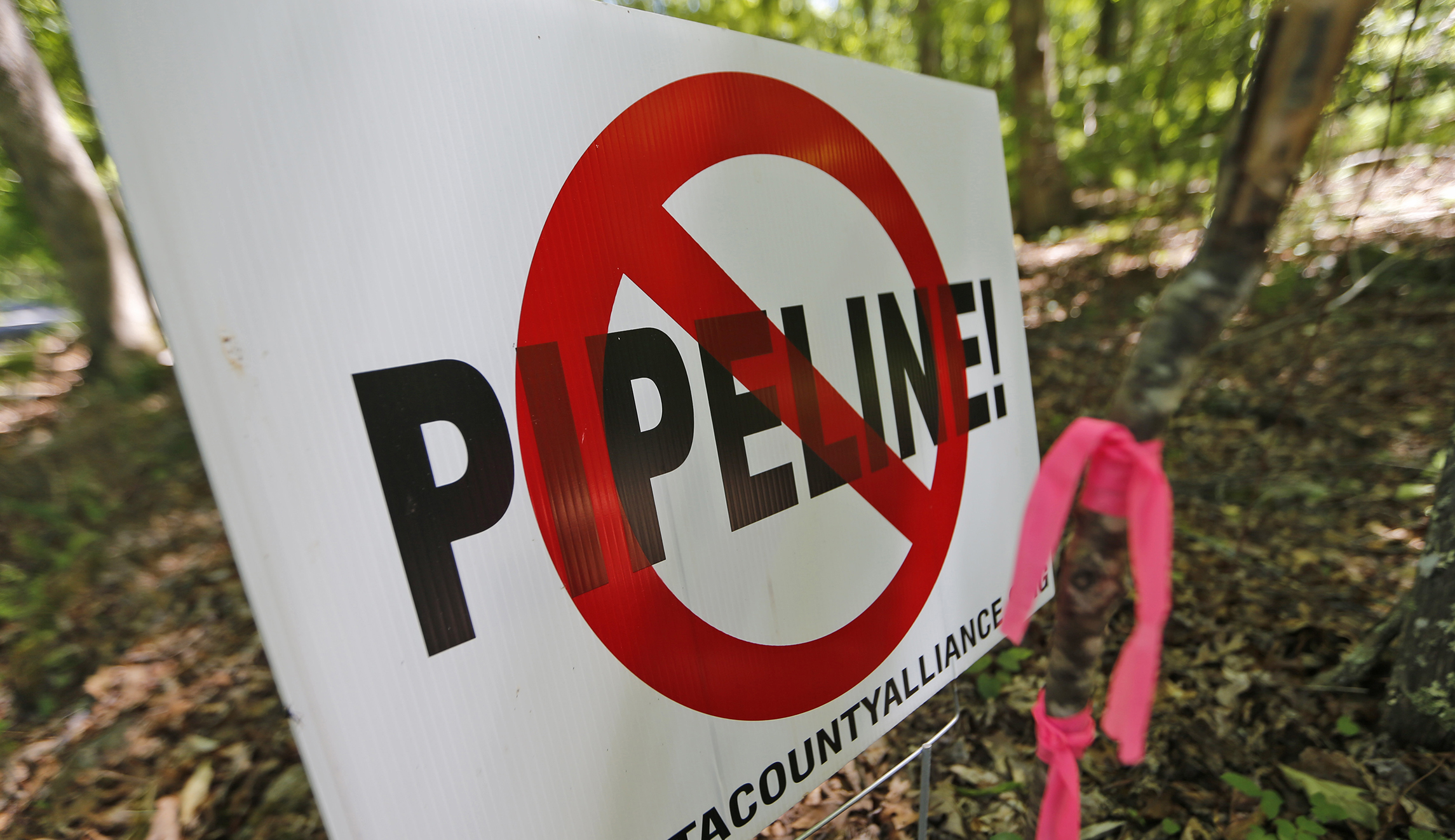 Environmentalists win ‘huge’ climate victory over federal pipeline approvals