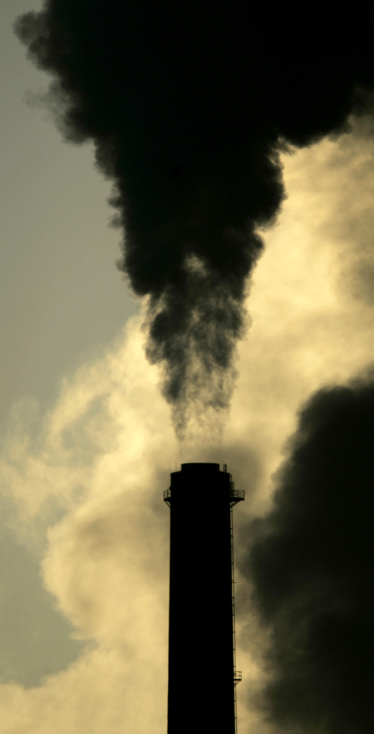 Kansas governor decries EPA carbon emissions rule