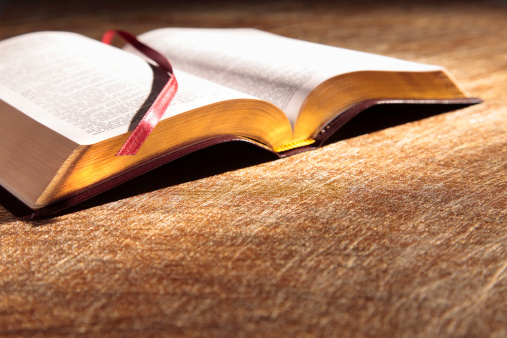 Holy Bible