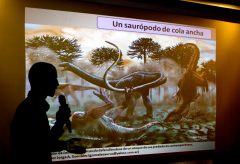 Argentine dino find: long-necks survived Jurassic