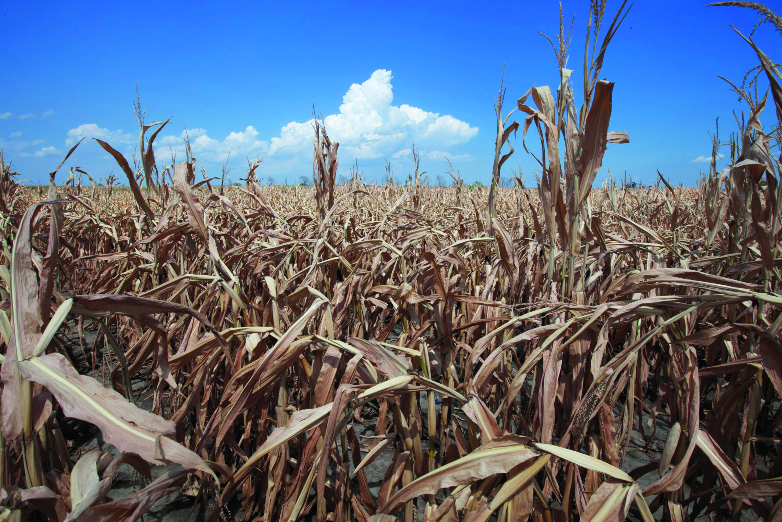 Drought worsens in Plains, despite cooler temps