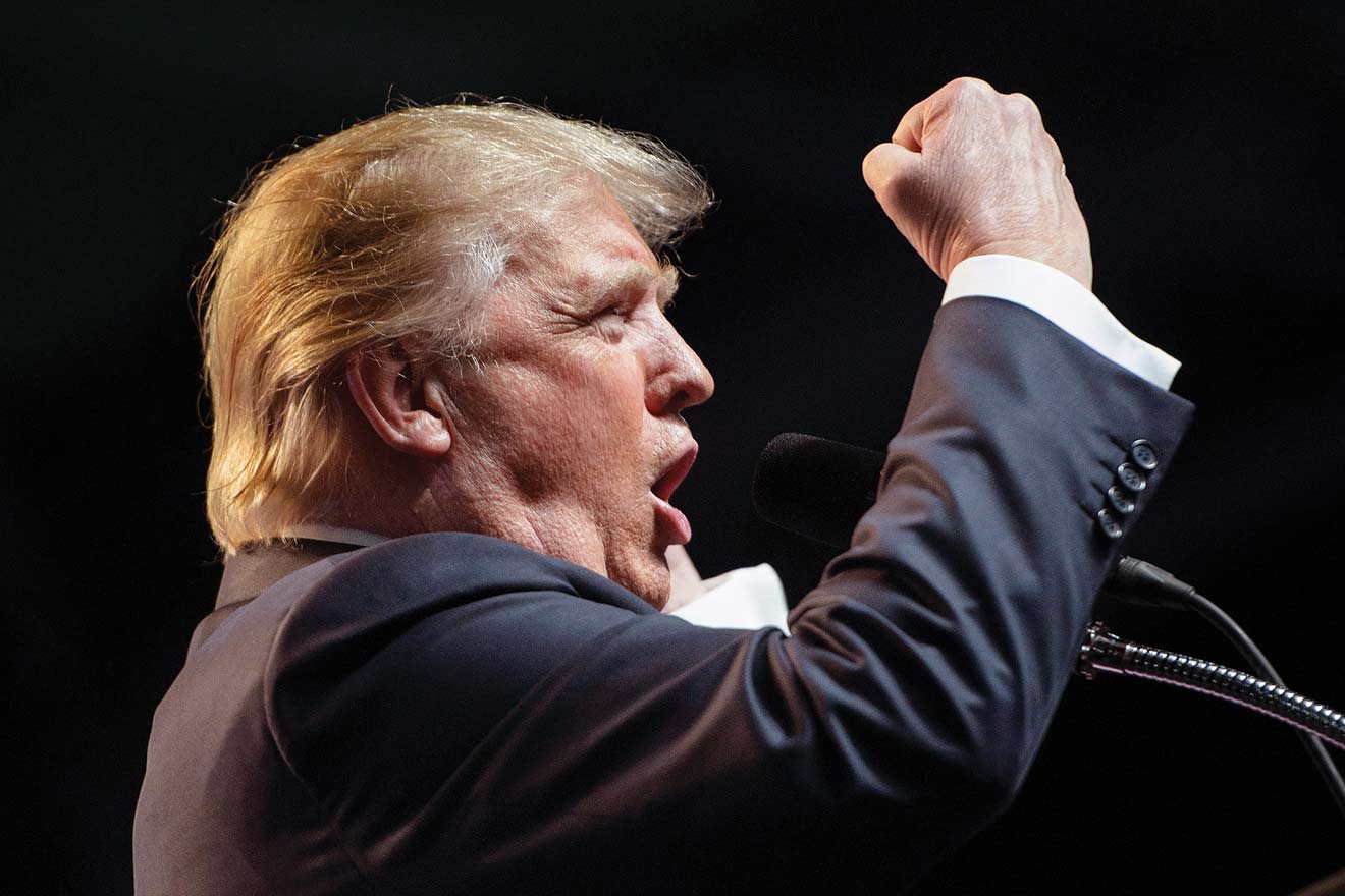 How Democracies Panic