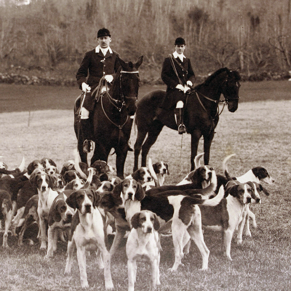 Transatlantic Hounds