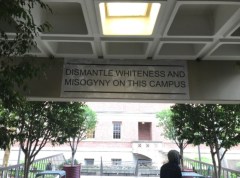 How diversity culture is causing animosity on campus and wasting resources