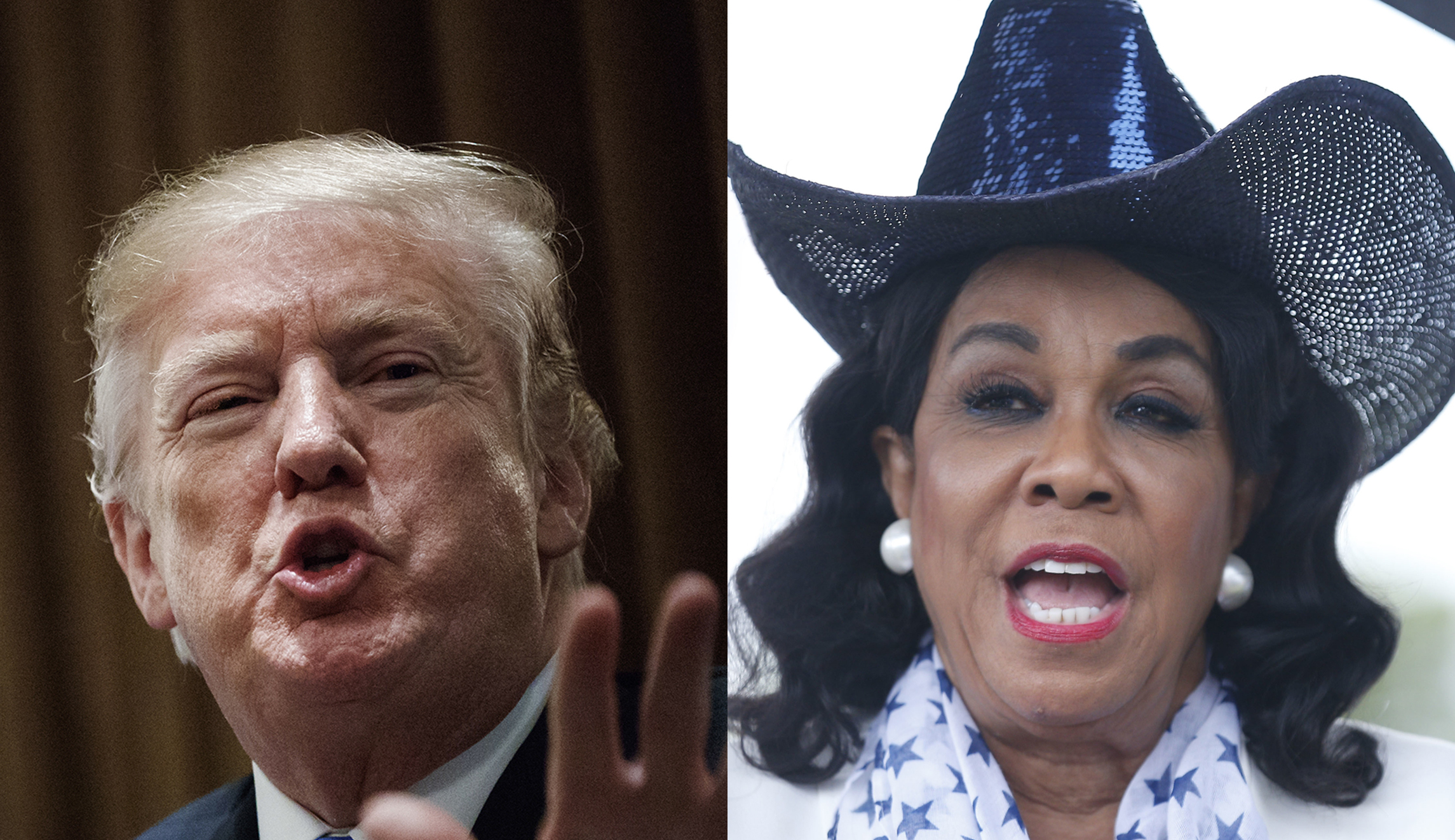 Black lawmaker calls Trump ‘racist’ for referring to Omarosa as a ‘dog’