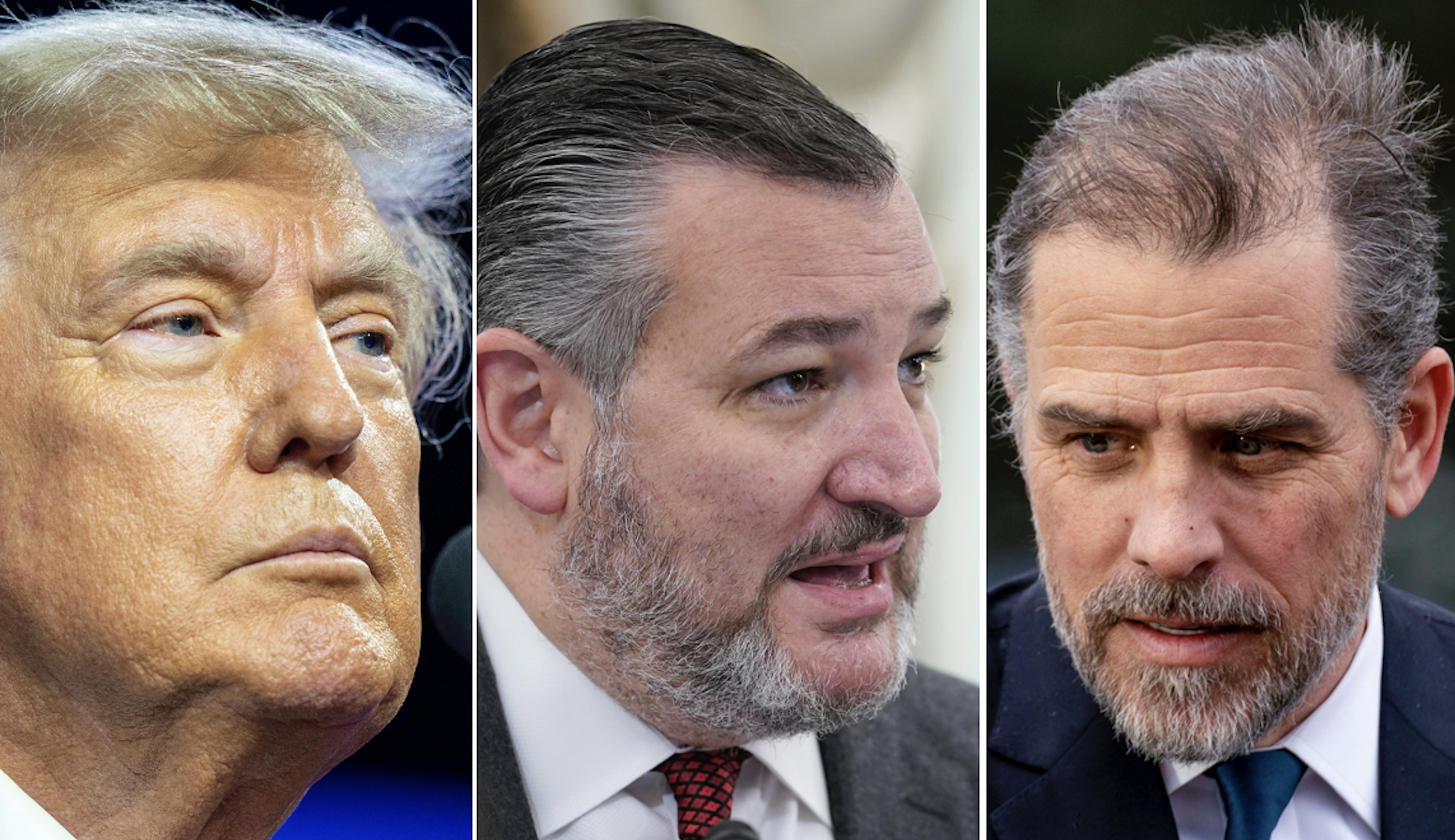 Hunter Biden plea: Ted Cruz calls it cronyism, camouflage, and corruption