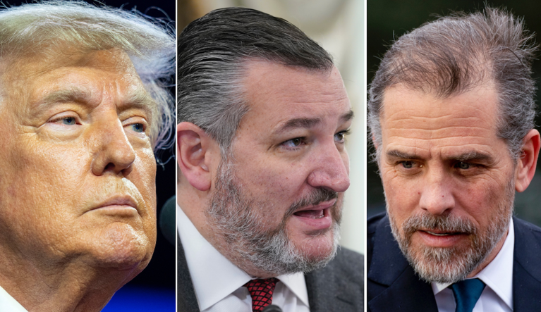 Former President Donald Trump (left), Sen. Ted Cruz (R-TX) (center), and Hunter Biden.
