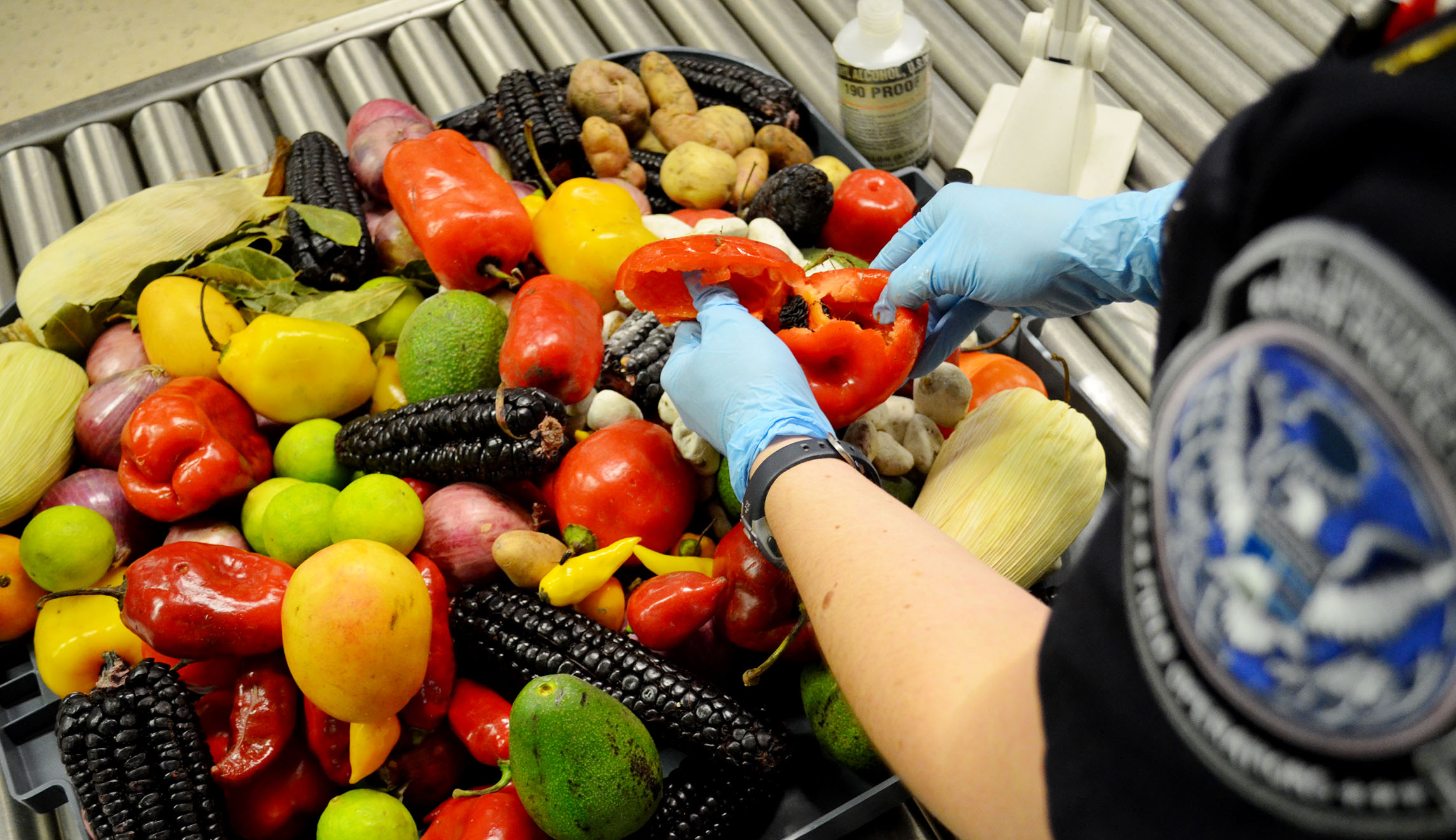 Airport officials find a ‘farmer’s market’ worth of prohibited produce in international passenger’s luggage