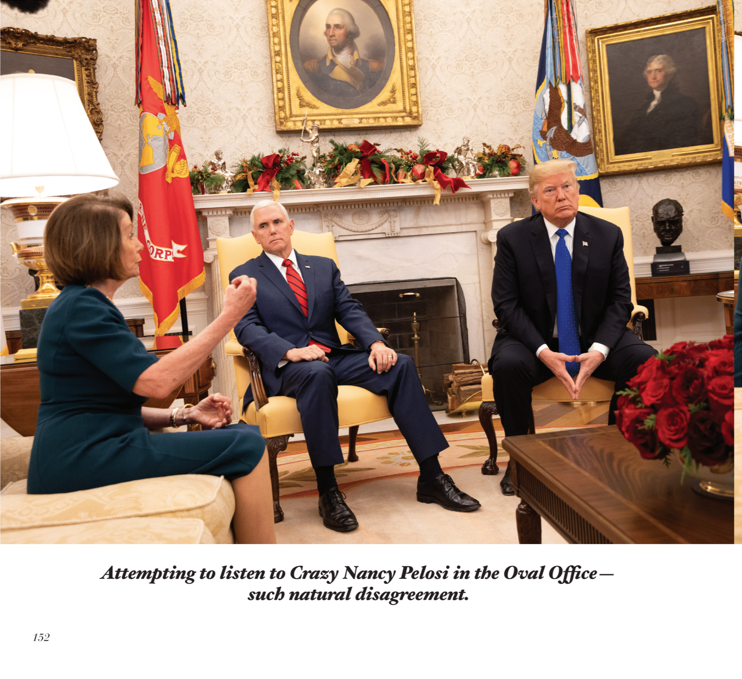 dt pelosi.jpeg