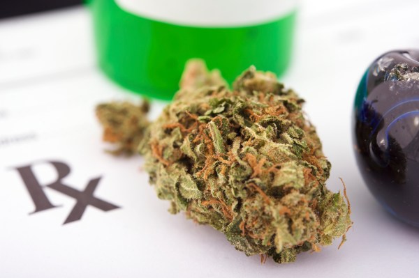 Berkeley City Council seeks free pot for the poor