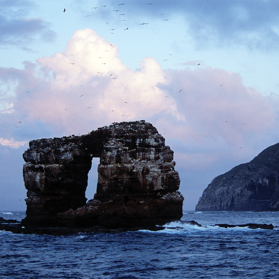 How Charles Darwin Got New England Talking