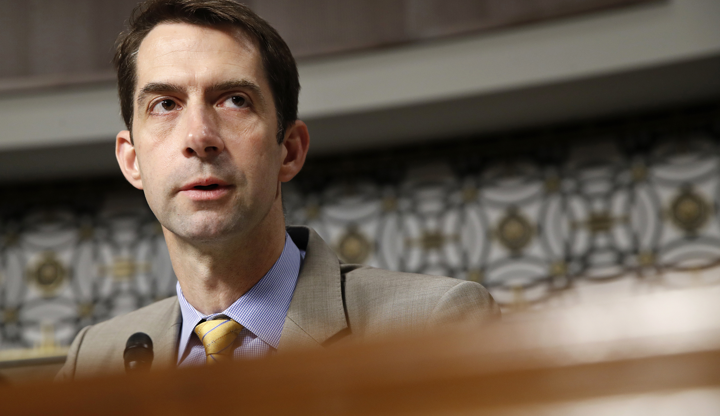 Sen. Tom Cotton: Vladimir Putin causing US-Russia relations to tank