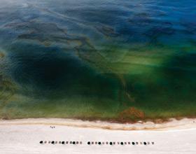 Hillyer on ‘Oil Messed Up’