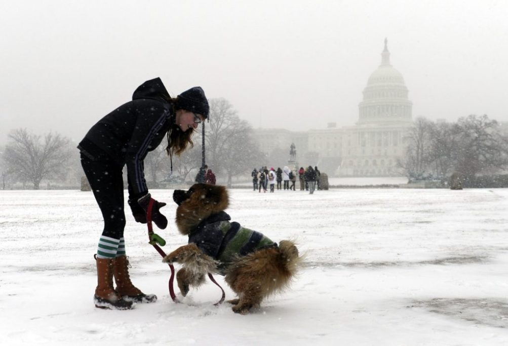 Snow closes schools, governments in mid-Atlantic