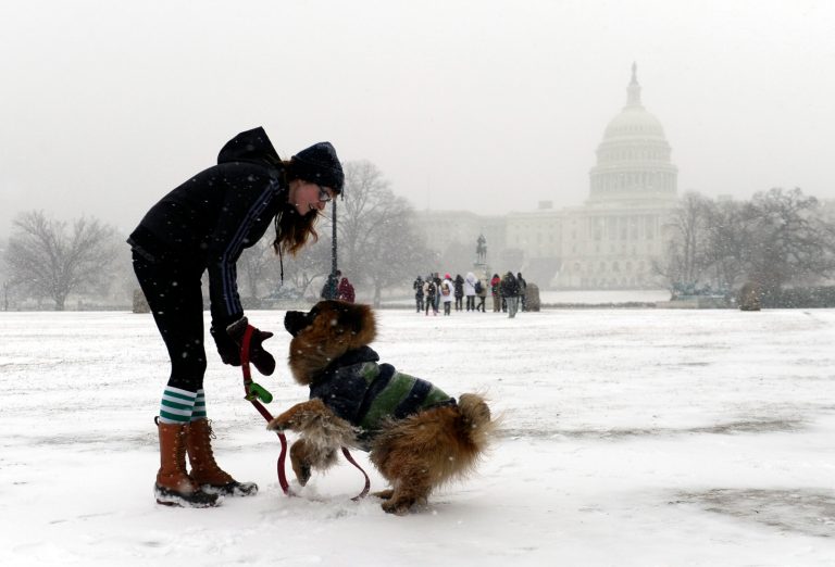 Sarah Appleman of Washington and her dog Frankenstein take a walk near Capitol Hill in Washington during the start of a major snowstorm, Tuesday, Jan. 21, 2014. Many government offices and schools closed before the first flake of snow, but there were signs Tuesday that significant winter weather was moving into the mid-Atlantic region as heavy snow began falling.(AP Photo/Susan Walsh)